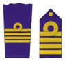  Representación de los distintivos de la bocamanga y solapa de un Capitán de Navío.